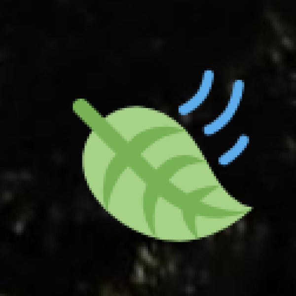 Shopping in Lakshadweep: Best Souvenirs to Buy