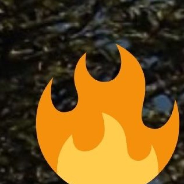 Dokra Metal Craft – Tribal Art in Brass & Bell Metal