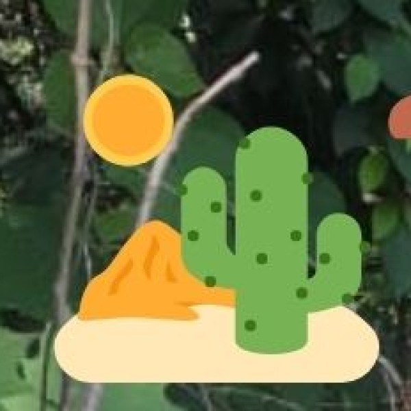 Gopalpur & Balasore Seashell Products