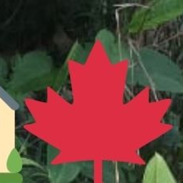 Shell & Coral Jewelry