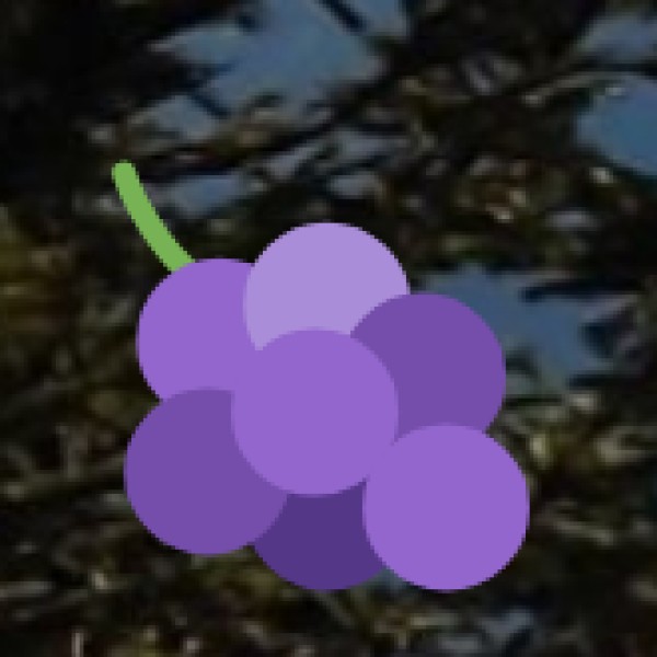 Kashmiri Spices – Flavorful & Aromatic