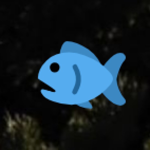 Tuna & Seafood Products