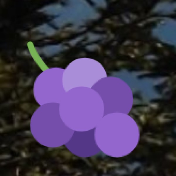 • Goubert Market (Grand Bazaar):