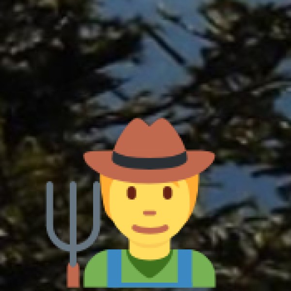 What to Buy in Tamil Nadu?