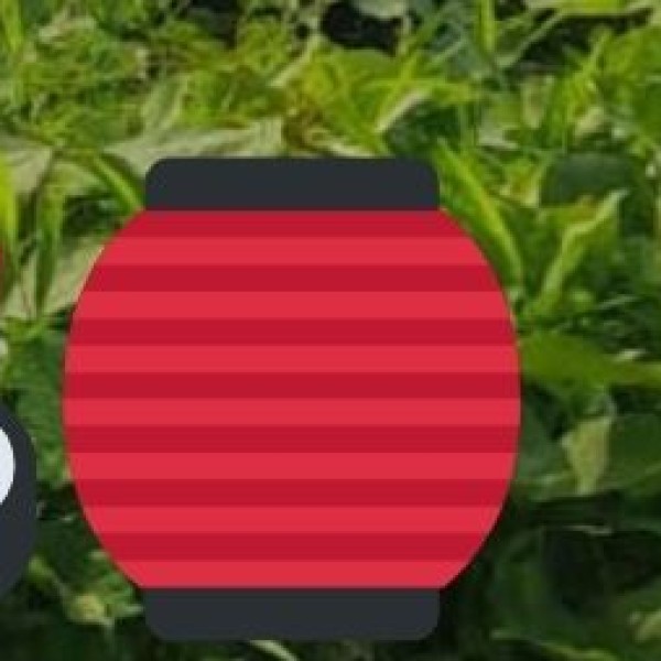 Handmade Naga Baskets