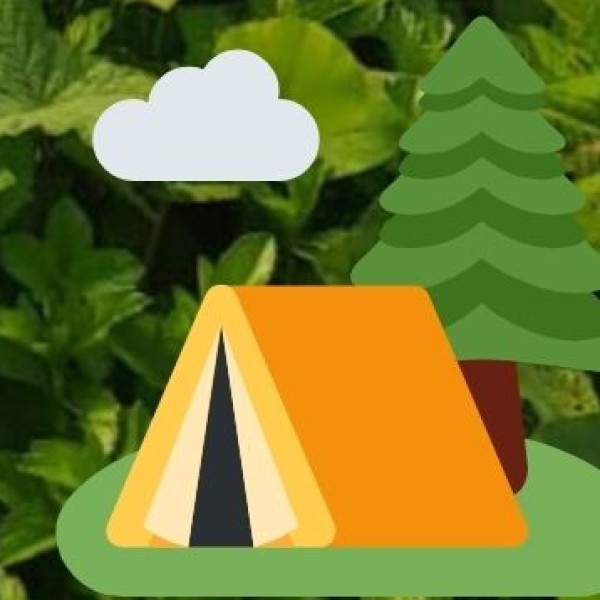 Chamba Rumal – Hand-Embroidered Art