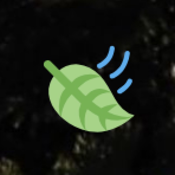 Shopping in Uttar Pradesh – Best Markets & Souvenirs