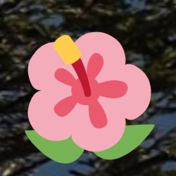 Handicrafts & Shopping in West Bengal