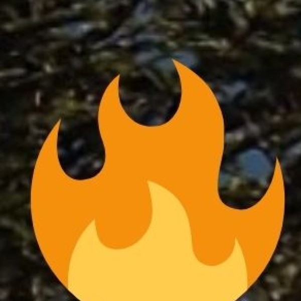 Thangka Paintings & Buddhist Art