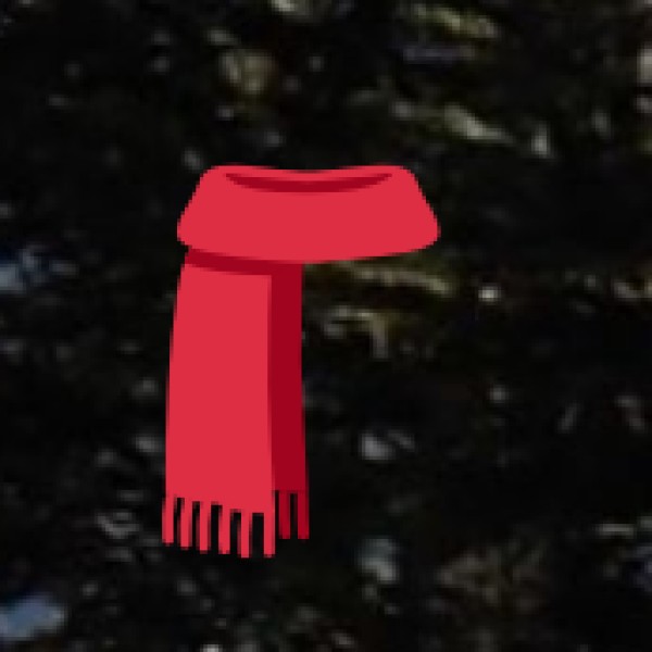 Gongadi Woolen Shawls – Handwoven Tribal Woolens