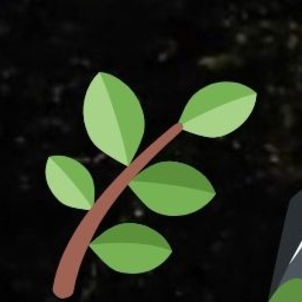 Best Shopping Destinations in Assam