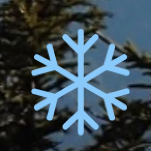 Wooden Masks & Puppets – Folk Art from Purulia