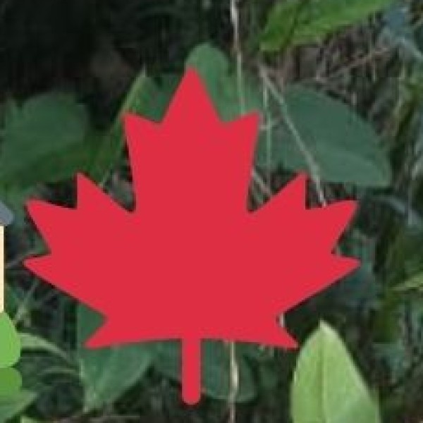 Handwoven Baskets & Eco-Friendly Bags