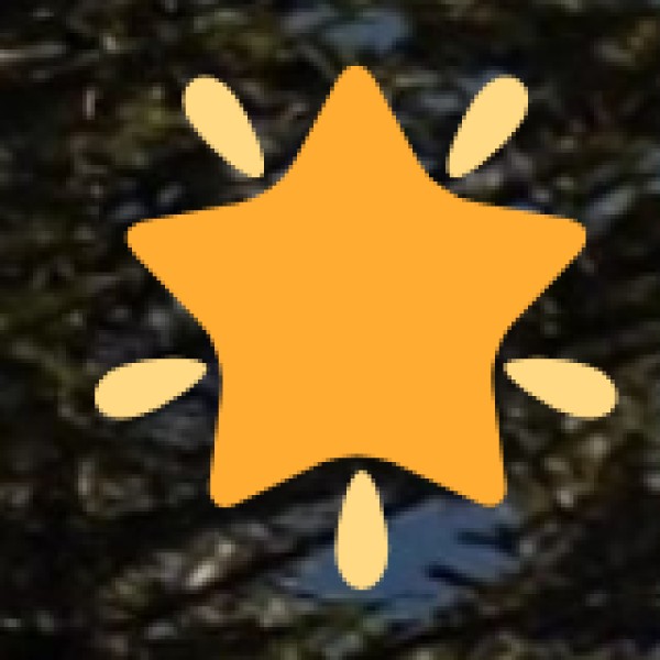 Local Product Highlights: