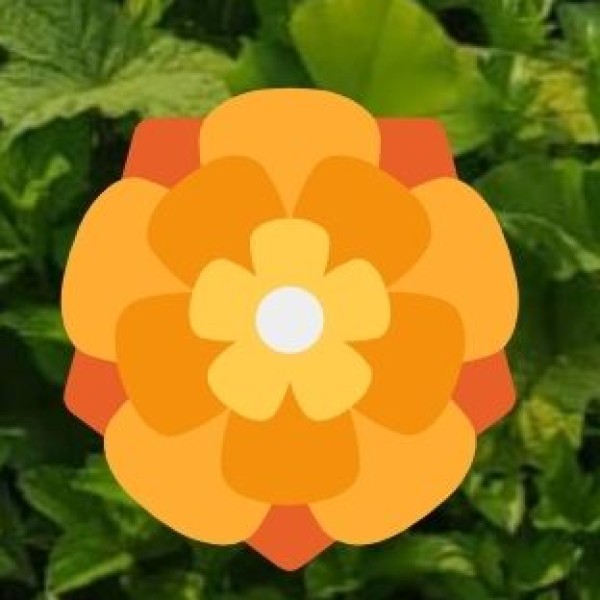 Festival Shopping & Seasonal Highlights