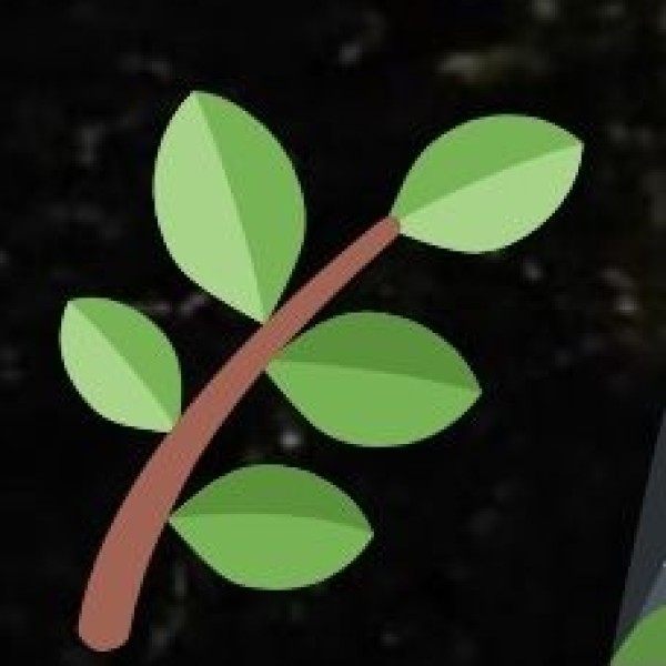 What to Buy in Kerala