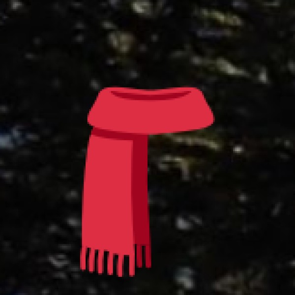 Tibet Market (Daman) – Best for Woolens & Handcrafted Accessories