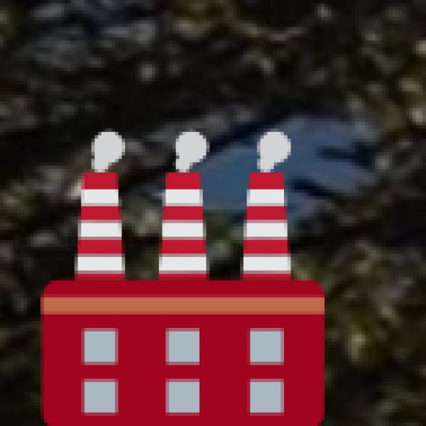 Ladakhi Carpets & Handwoven Rugs