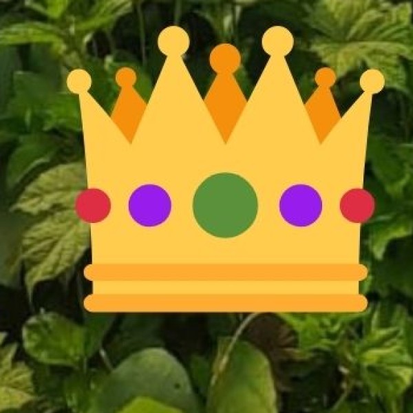 Handmade Beaded Jewelry & Tribal Ornaments