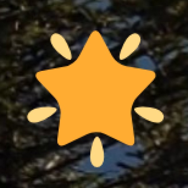 Responsible Shopping Tips for Tourists