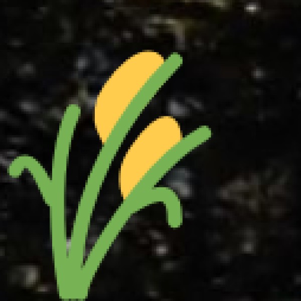 Best Places for Shopping in Himachal