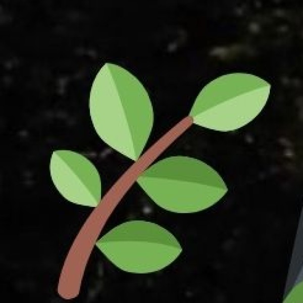 Kangra Tea – The Himachali Green Tea