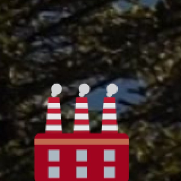 Bamboo & Cane Handicrafts