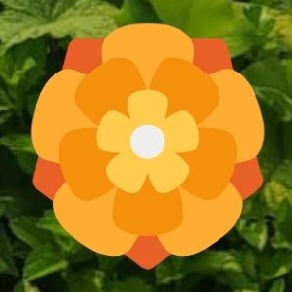 Cottage Emporium – Best for Authentic Indian Handicrafts