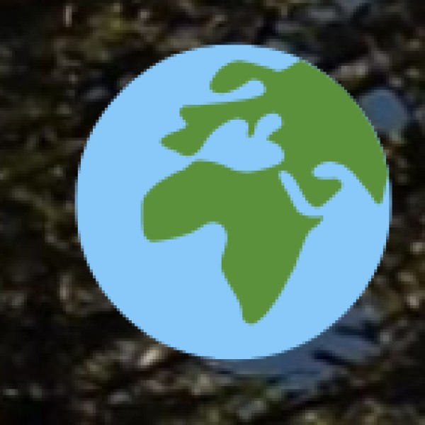 Fusion with Modern Designs