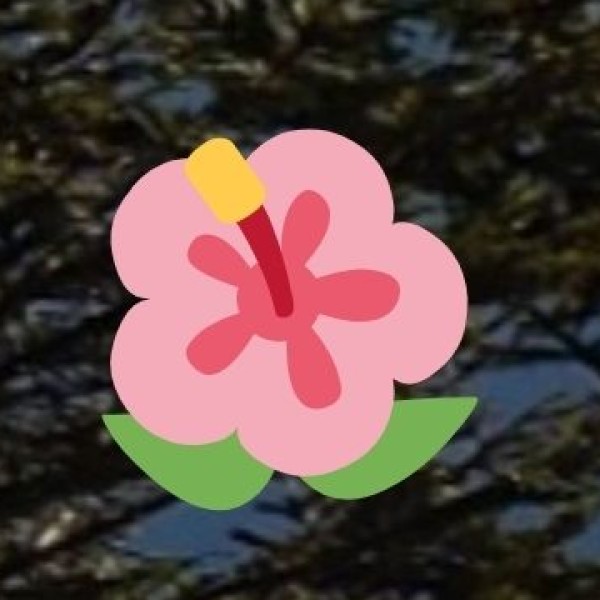 Sammakka Saralamma Jatara (on AP–Telangana border)