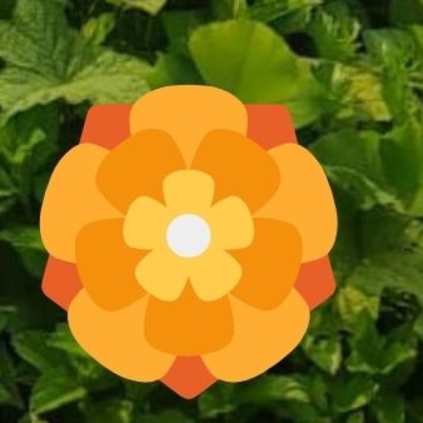 Best Places to Experience Assam’s Tribal Culture