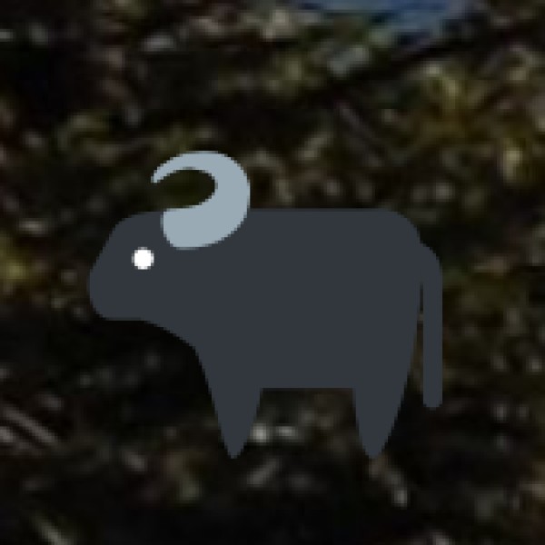 Nature Walks & Sacred Groves