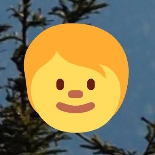 Reforestation & Mangrove Protection