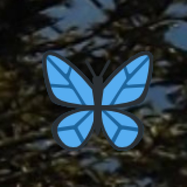 Brokpa (Aryan) People