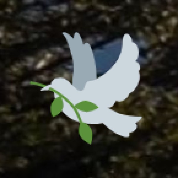 Unique Nature-Based Experiences