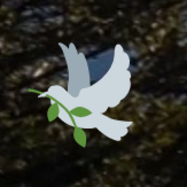 o Matrimandir Experience: