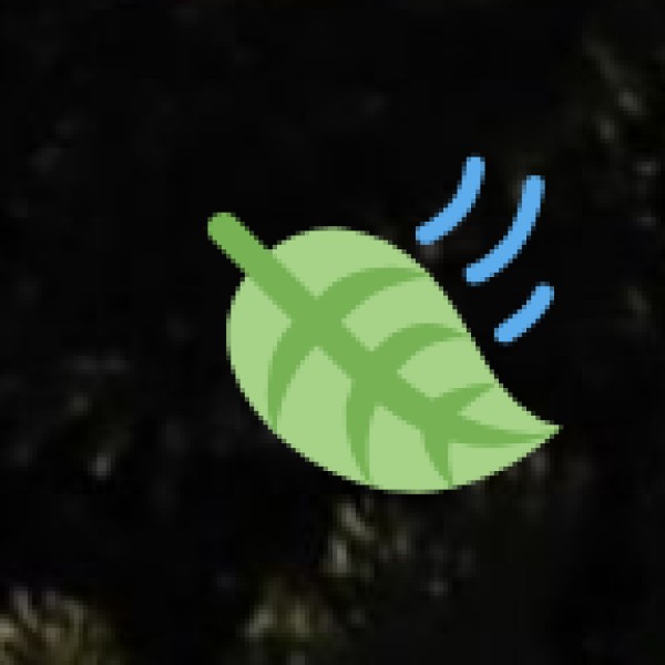 Tribal Handicrafts & Art forms