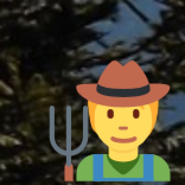 Top Tribal Tourism Destinations