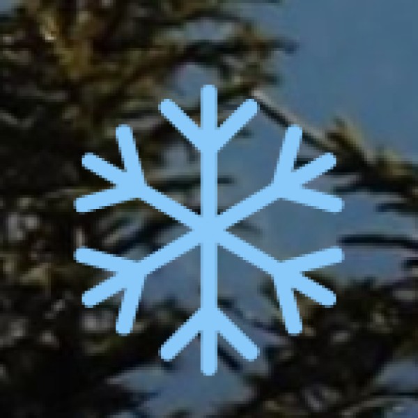 The tribal heritage of Telangana