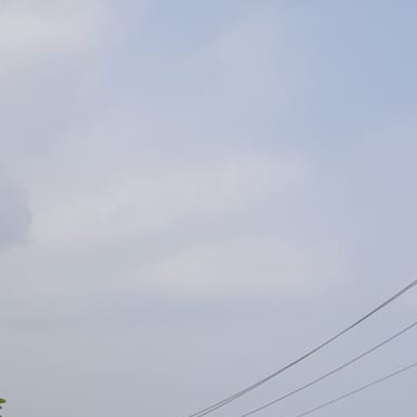5. Siddi (Nayaka):