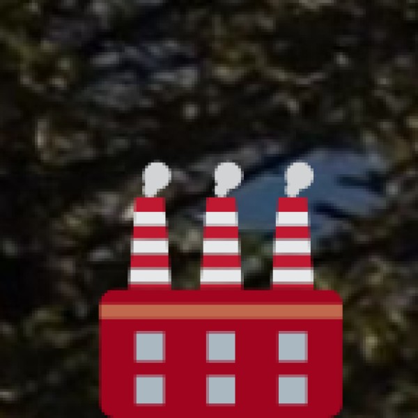 Kosa Silk – The Pride of Chhattisgarh