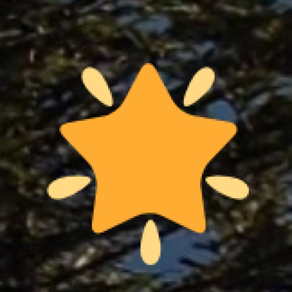 Sustainable & Responsible Tourism Tips