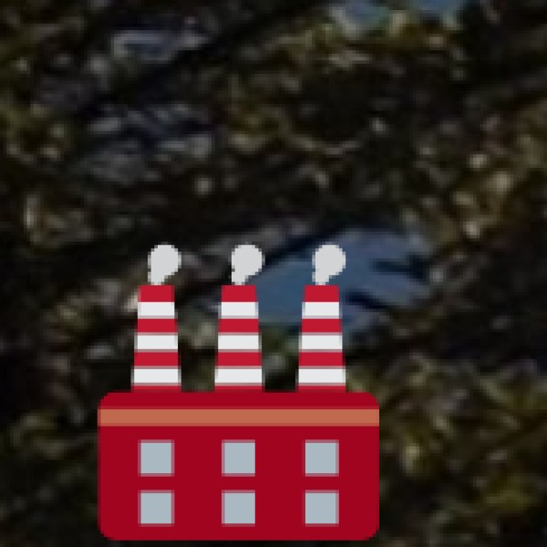 Challenges to Tribal Life