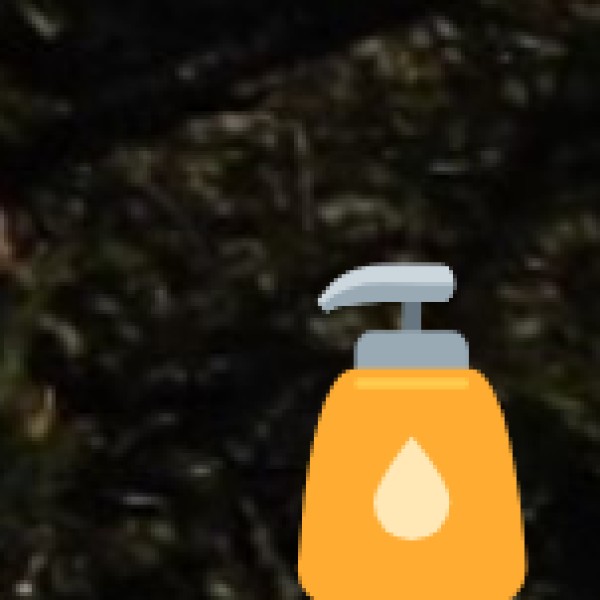 TRIBAL CUISINE & HERBAL PRACTICES