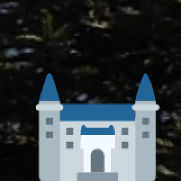 Government & NGO Support