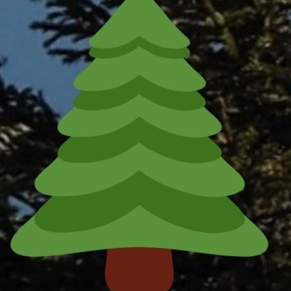 Mayurbhanj – The Home of the Santhal & Ho Tribes