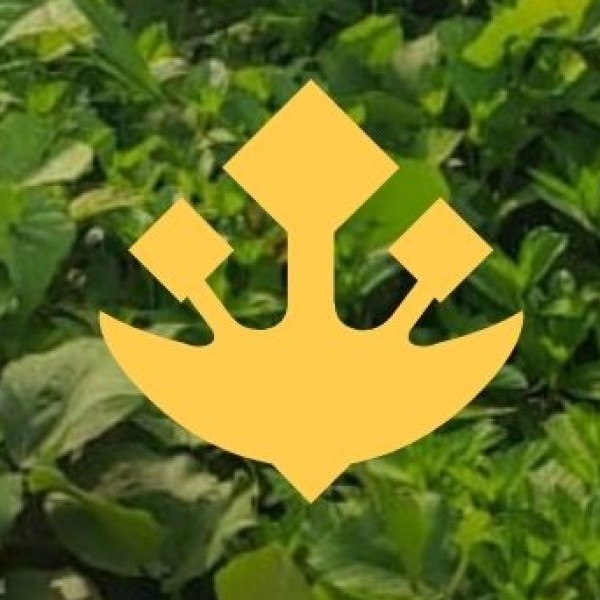 Karbi Anglong – Explore the Rich Culture of the Karbi Tribe