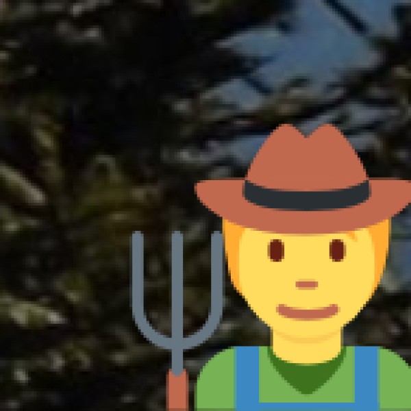 Siddi Settlements near Gir Forest