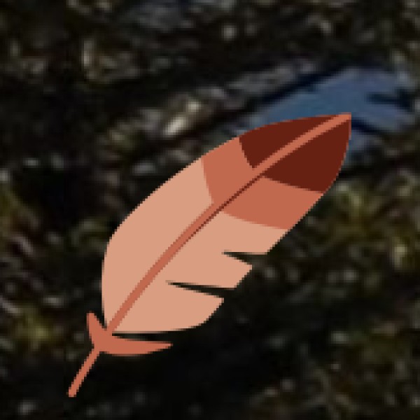 Handicrafts & Tribal Products