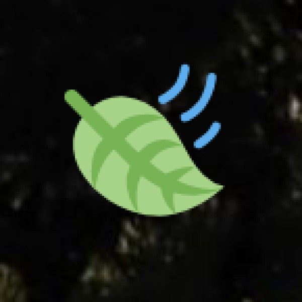 The Tribal Heartlands of Gujarat